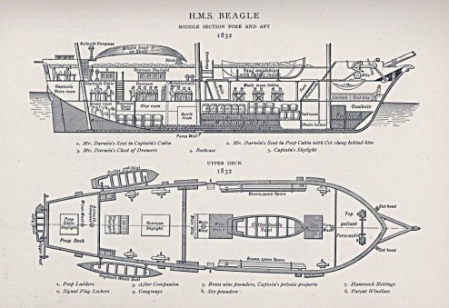 1832 hms beagle wikimedia commons